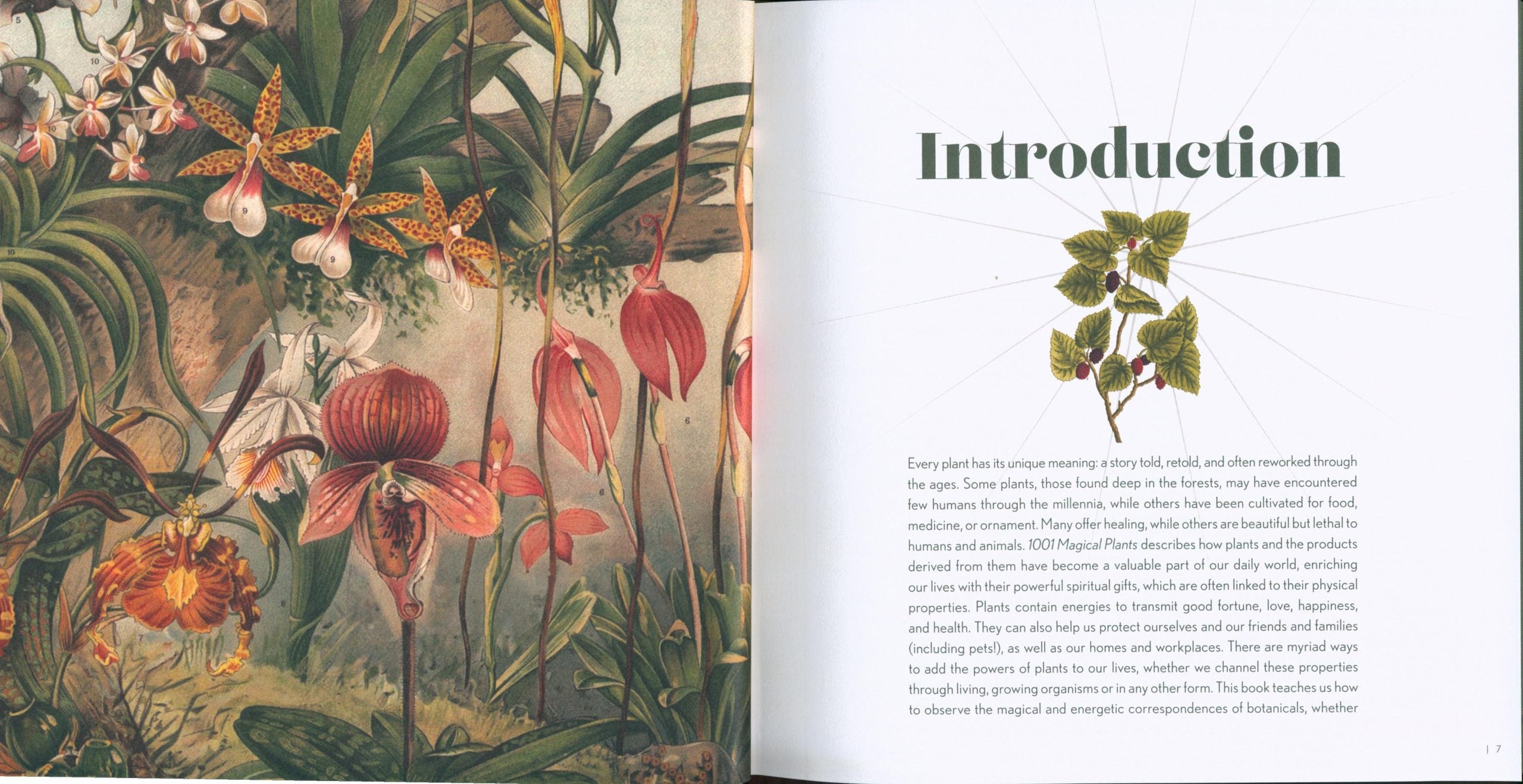 1001 Magical Plants