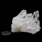 Clear Quartz 'A' Cluster (2" - 3 1/2")
