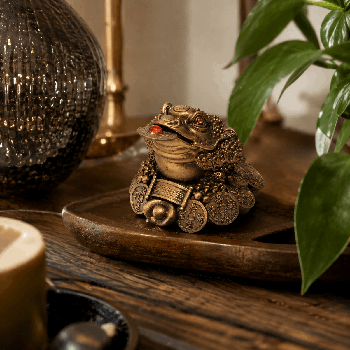Fortune FrogFenShui Lucky