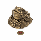 Fortune FrogFenShui Lucky